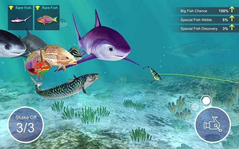 API trò chơi câu cá sẽ giúp người chơi có sự liên kết với nhà cái